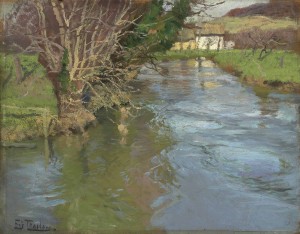 A stream in spring